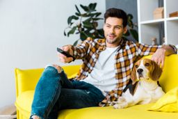 Películas para amantes de los animales