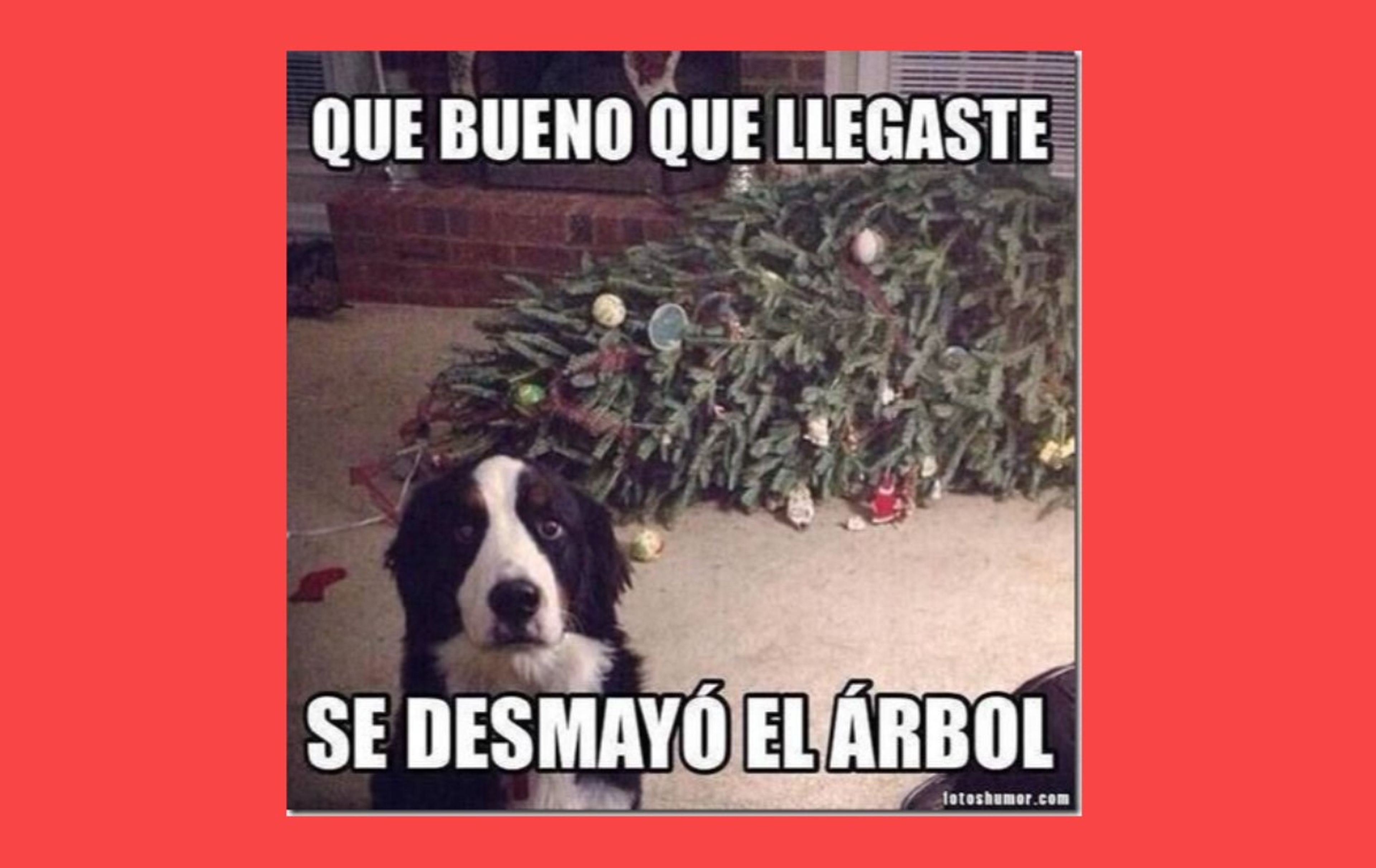 Imágenes divertidas y memes para felicitar la Navidad 2022 por WhatsApp