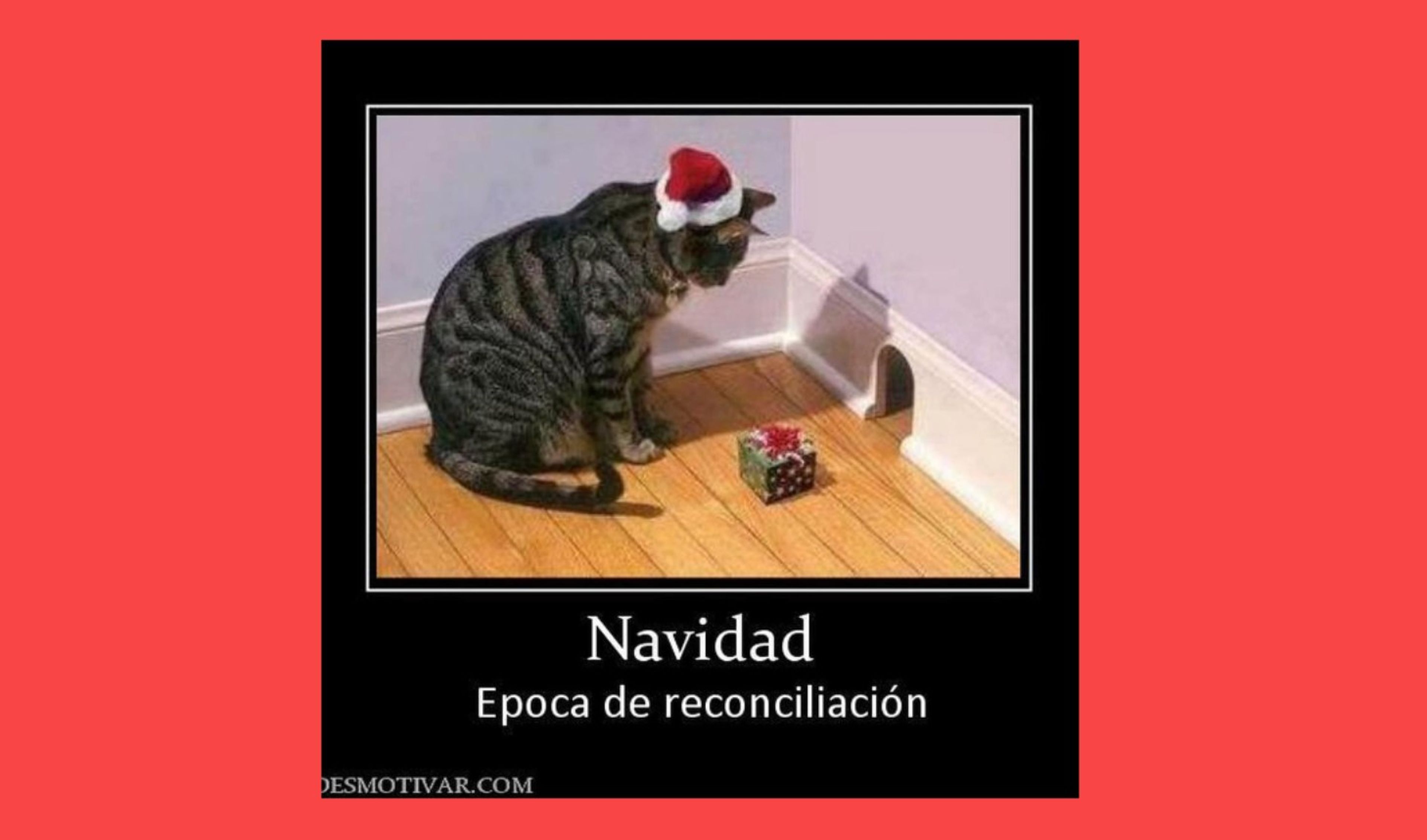 Imágenes divertidas y memes para felicitar la Navidad 2022 por WhatsApp