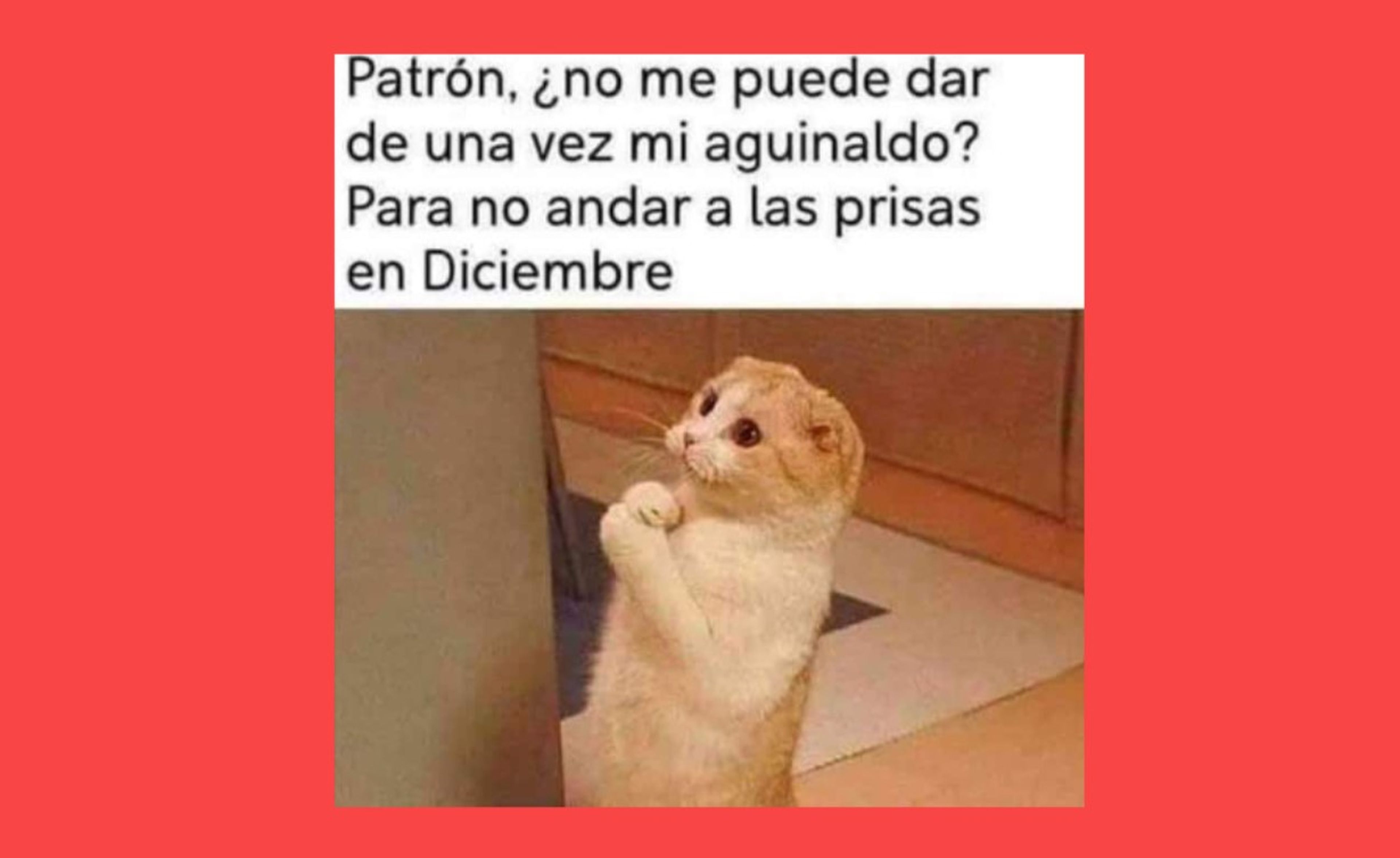 Imágenes divertidas y memes para felicitar la Navidad 2022 por WhatsApp