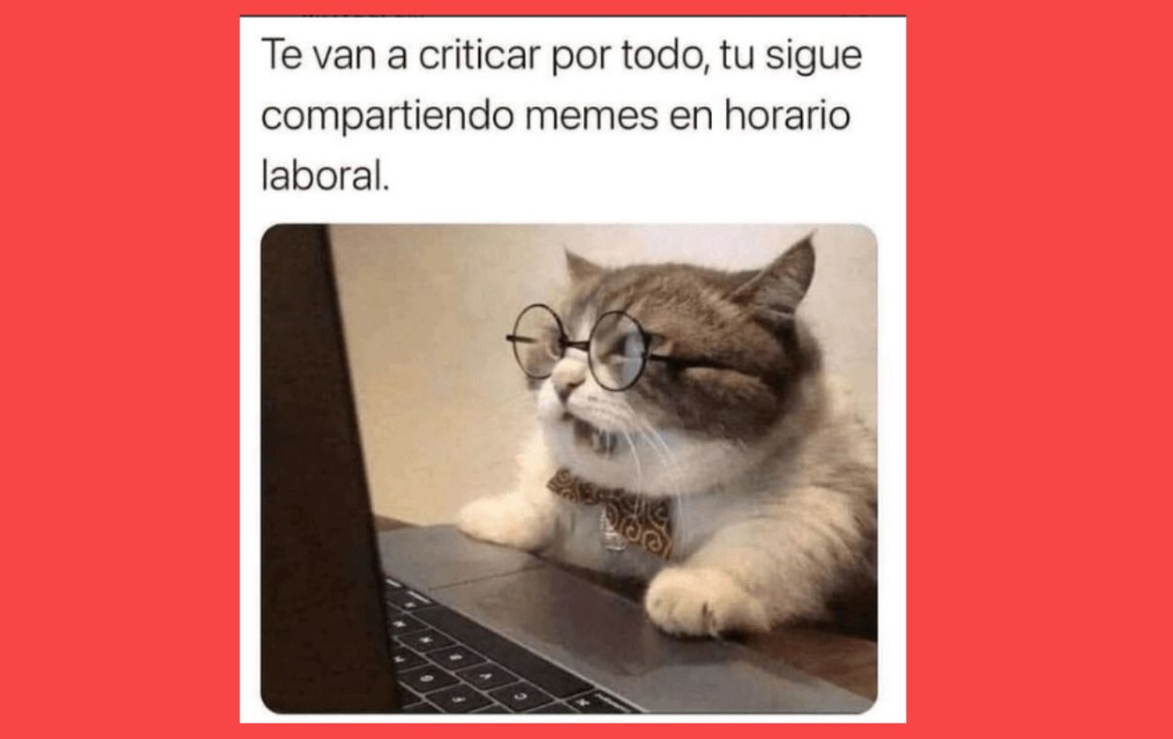 Imágenes divertidas y memes para felicitar la Navidad 2022 por WhatsApp