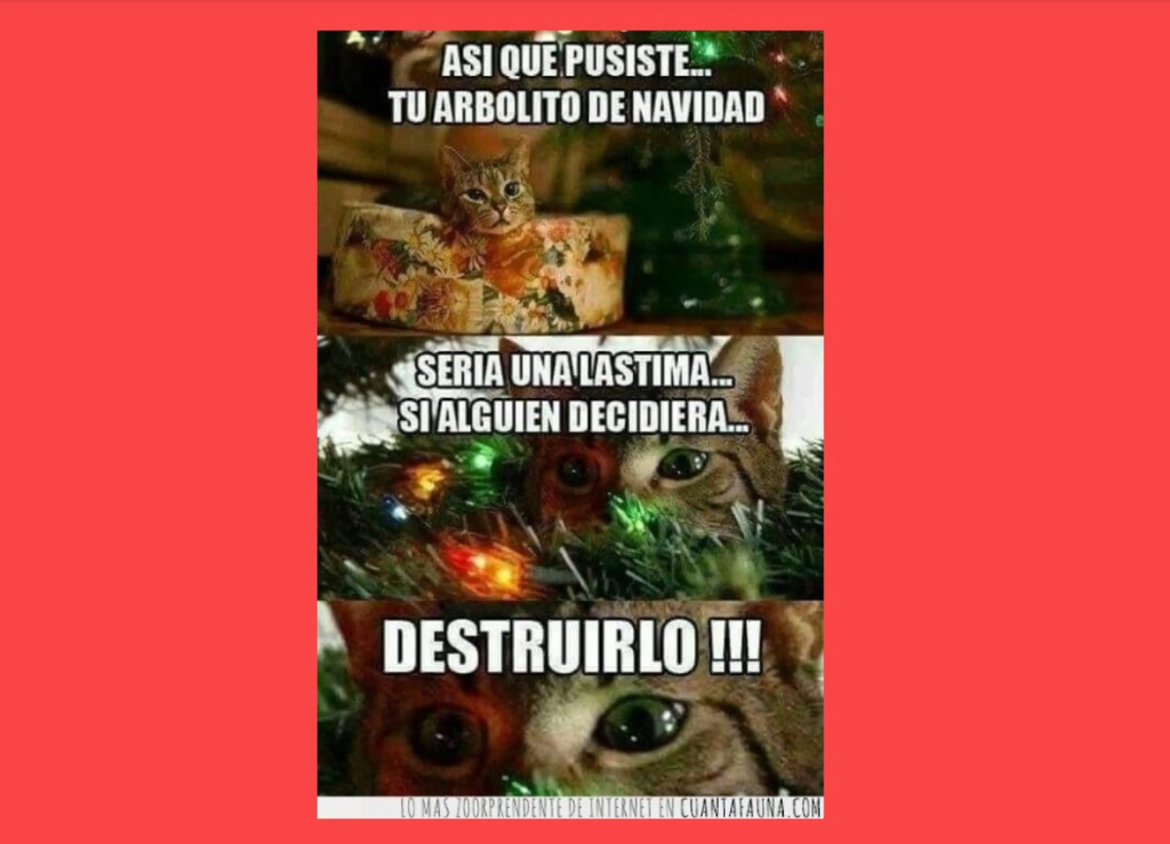 Imágenes divertidas y memes para felicitar la Navidad 2022 por WhatsApp