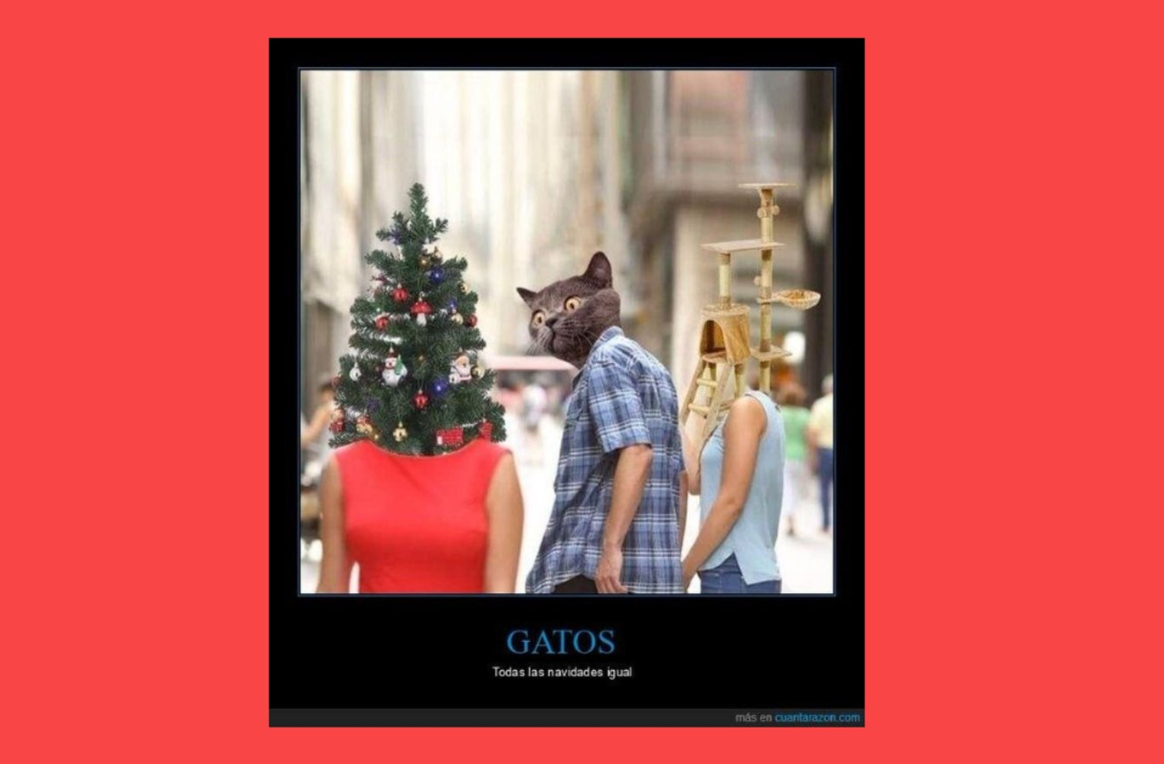 Imágenes divertidas y memes para felicitar la Navidad 2022 por WhatsApp