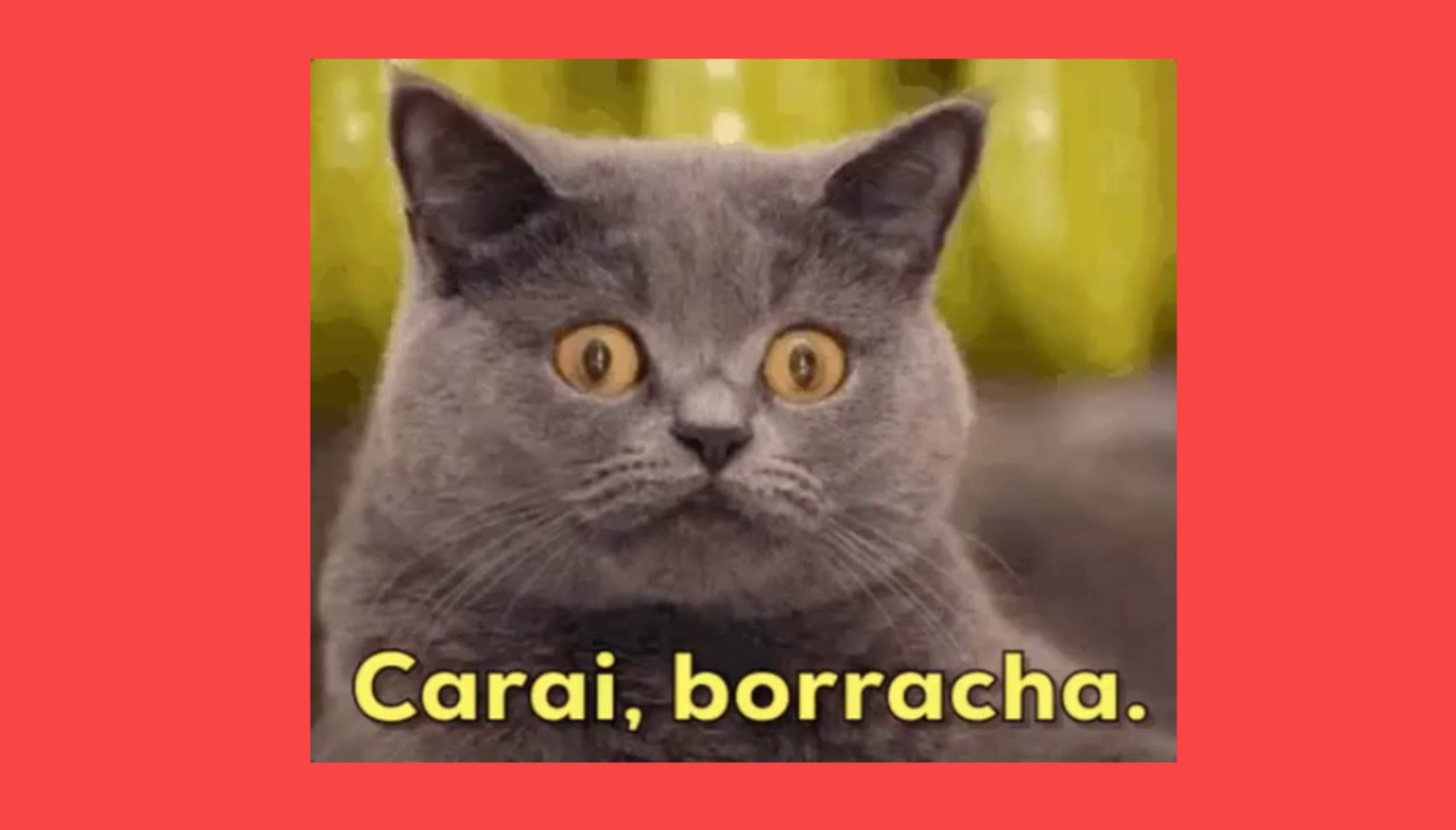 Imágenes divertidas y memes para felicitar la Navidad 2022 por WhatsApp