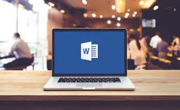 Microsoft Word
