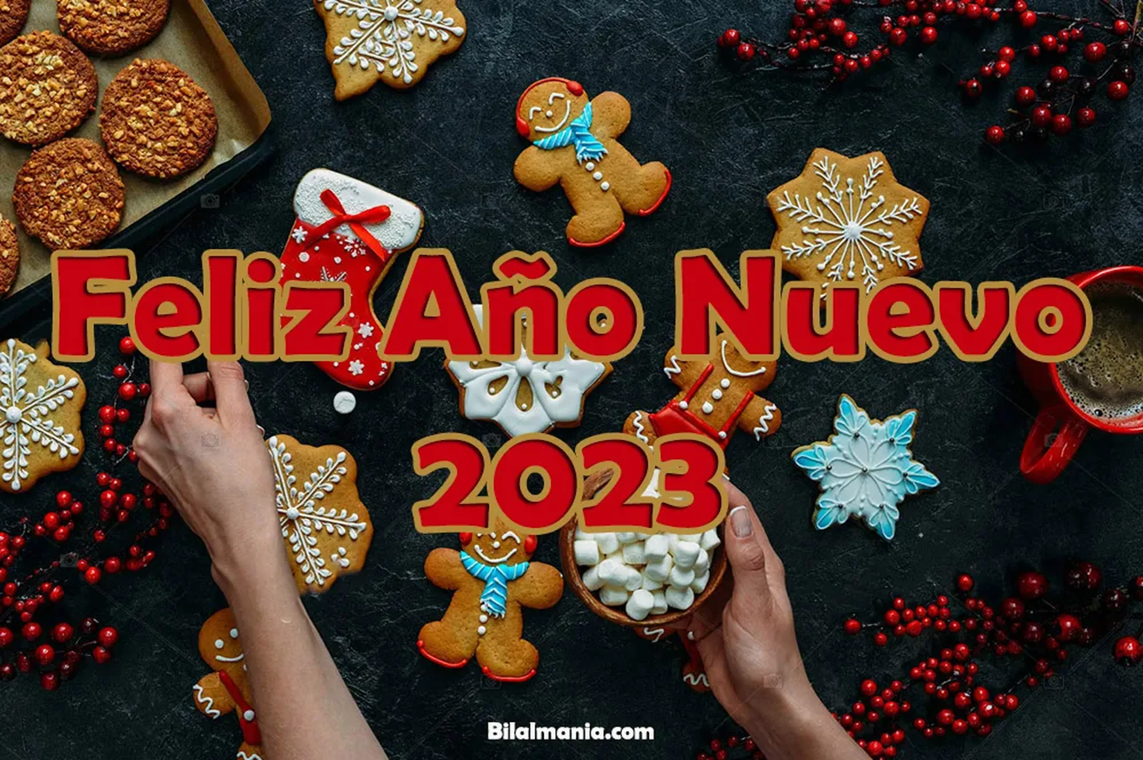 Feliz año nuevo 2023