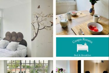 CoapaRooms, a cozy coliving apartment.