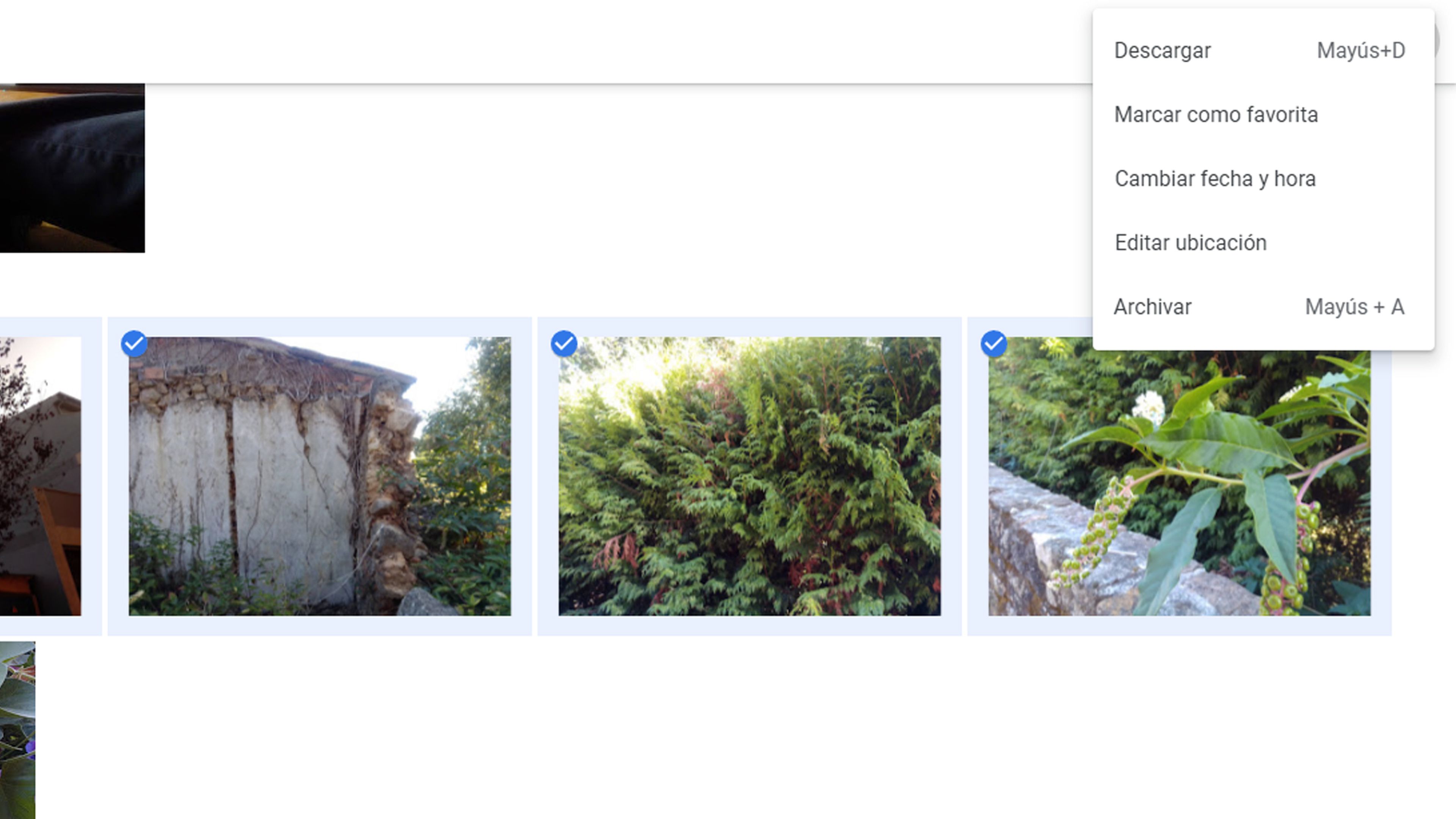 Google Fotos