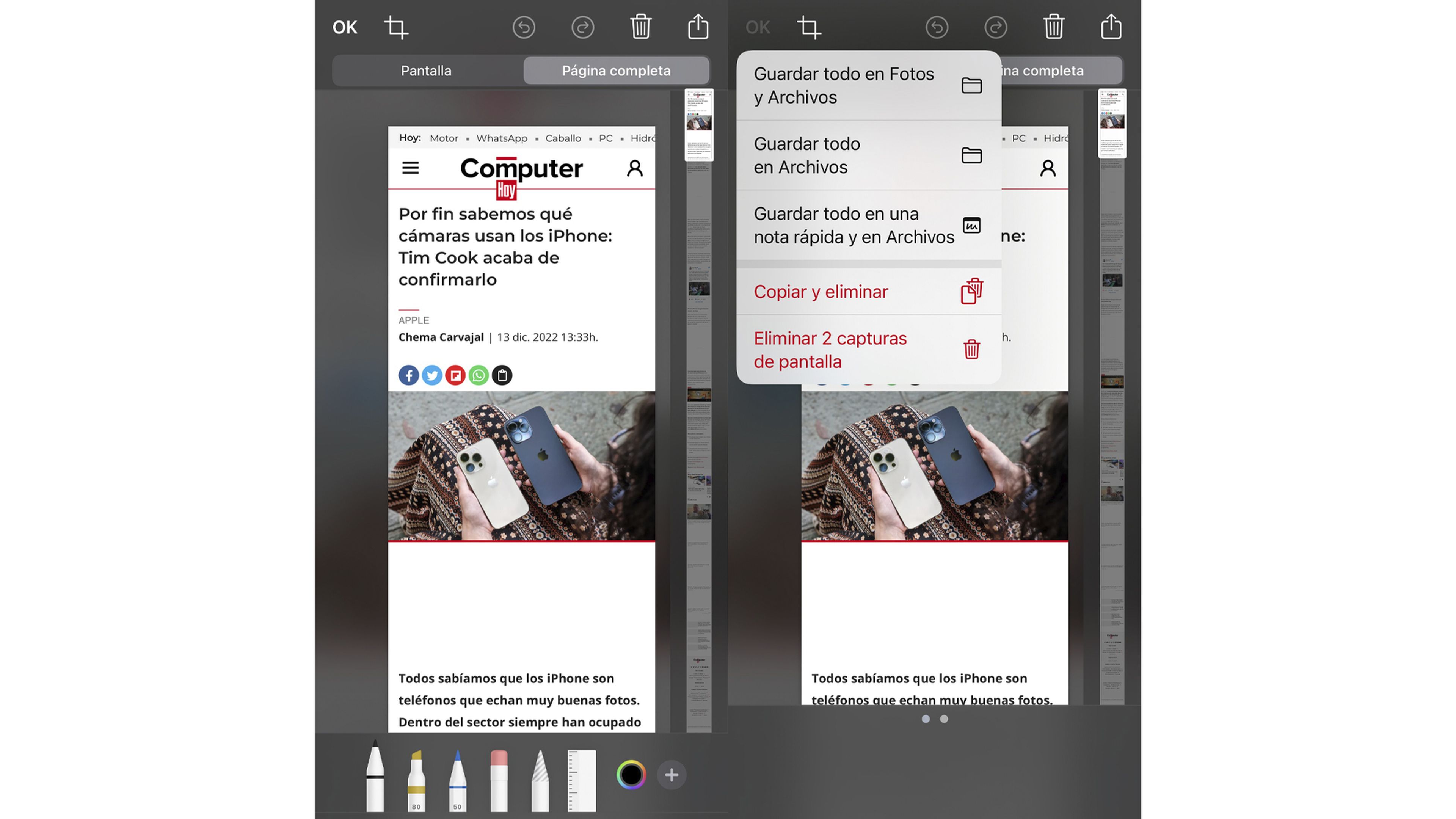 Captura Web completa