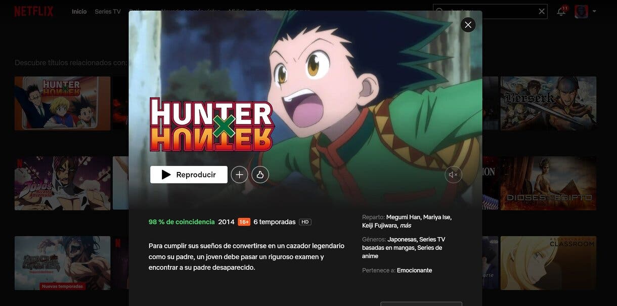 netflix hunter x hunter