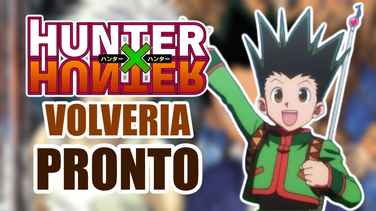 Hunter x Hunter podría salir de su nuevo hiatus antes de lo que muchos se piensan