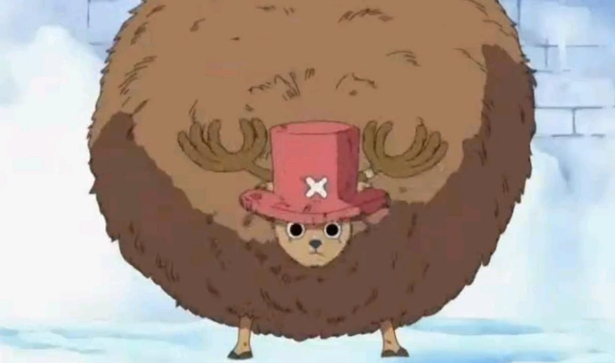 one piece