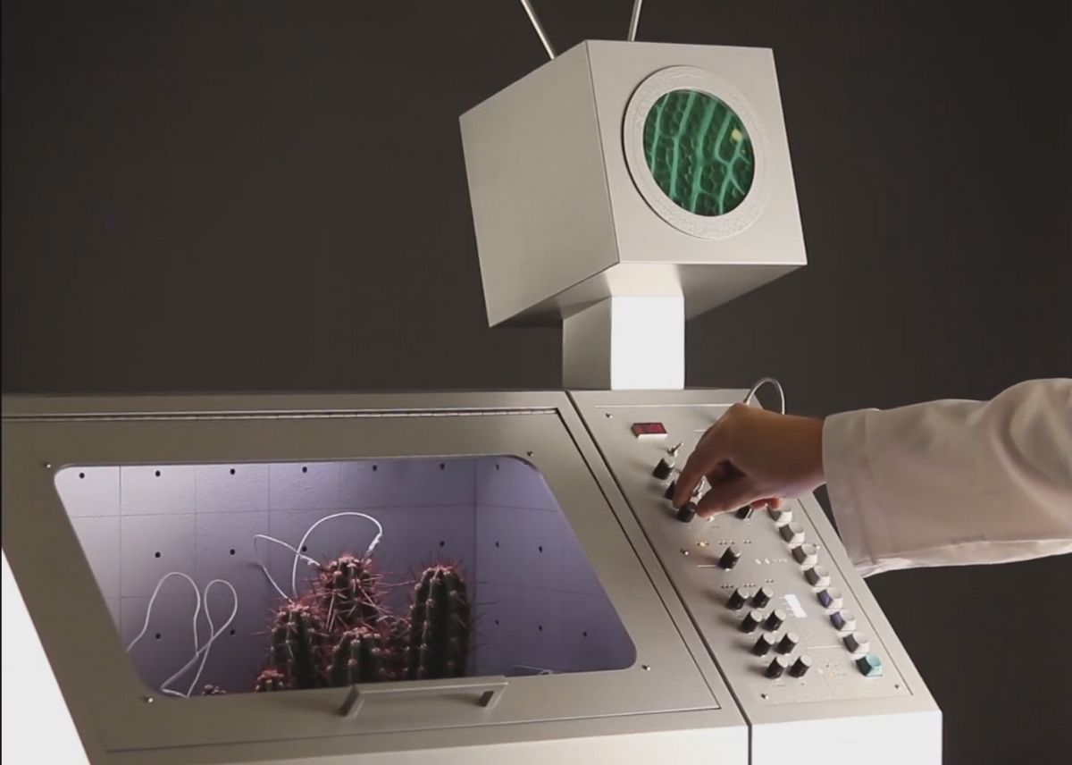 Esta máquina convierte las señales vitales de las plantas en música