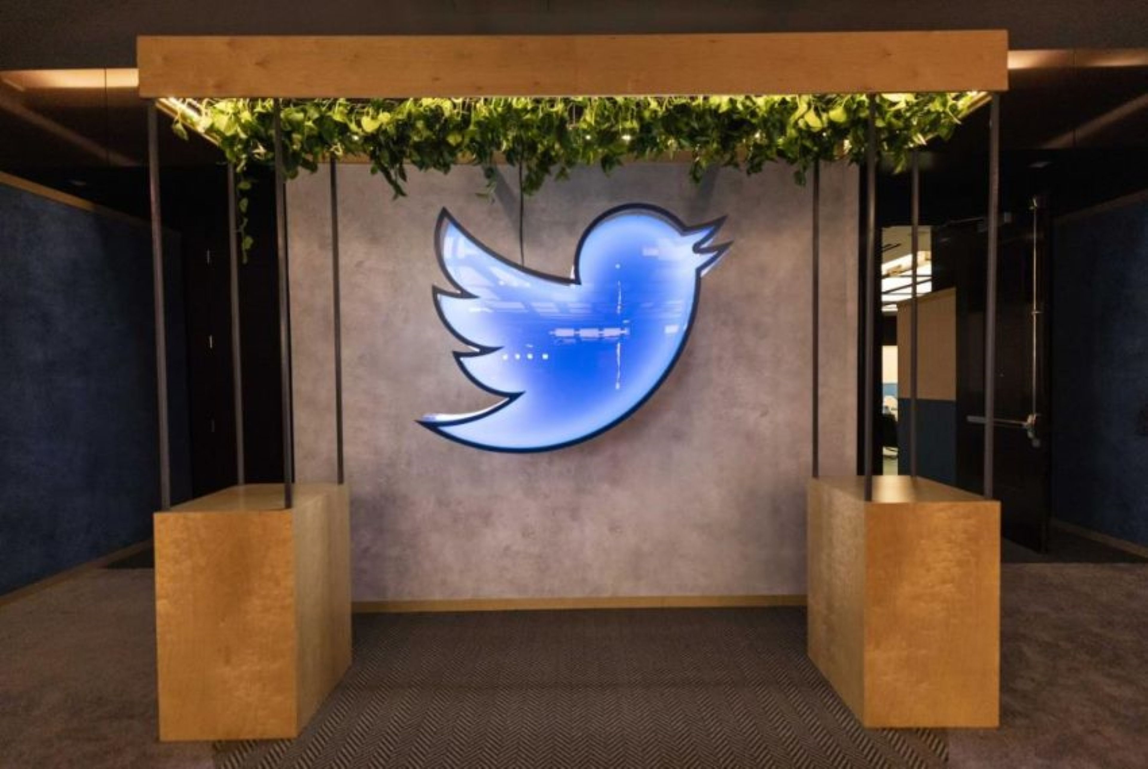 El logo oficial de Twitter por 50 dólares: Elon Musk vacía las oficinas y lo pone todo a la venta