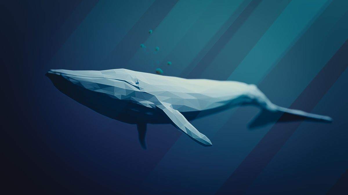 Las ballenas del Bitcoin comienzan a despertarse: ¿cómo podría afectar a su precio?