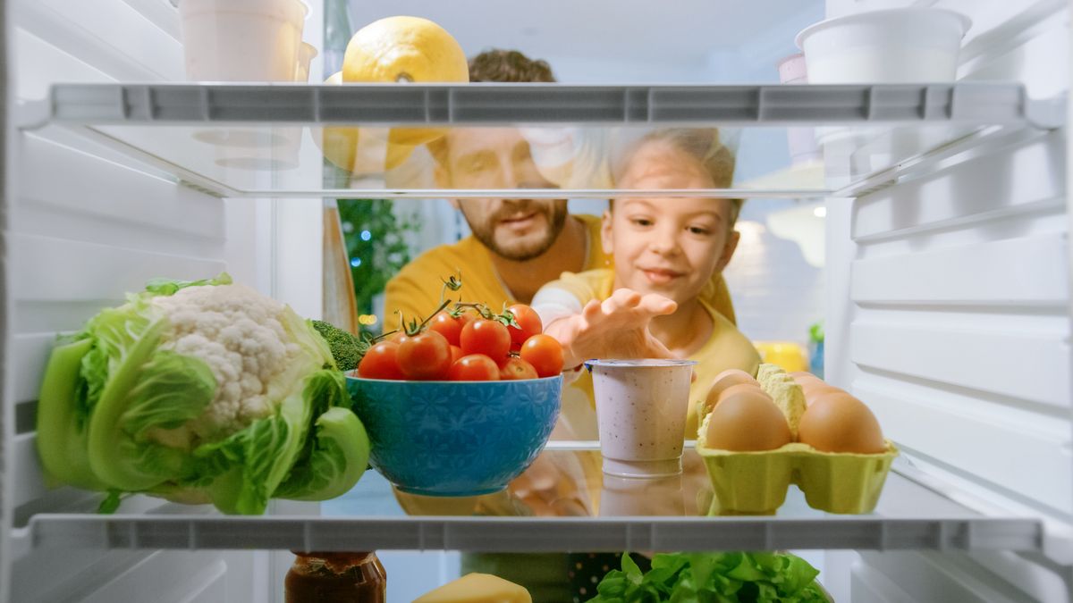 Menor consumo y mayor duración de los alimentos: así es el invento del MIT para las neveras