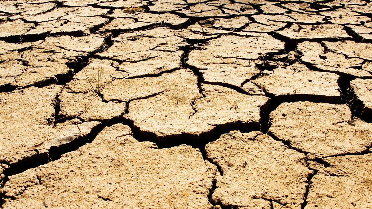 Nuestra civilización actual podría terminar en las próximas décadas, según estos científicos de Stanford
