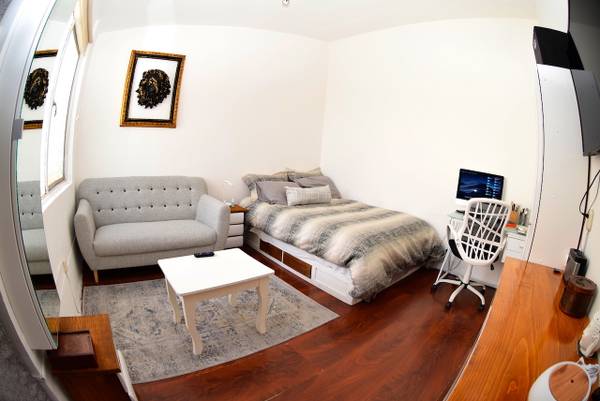 Study private  Room $ 540 USD Condesa.