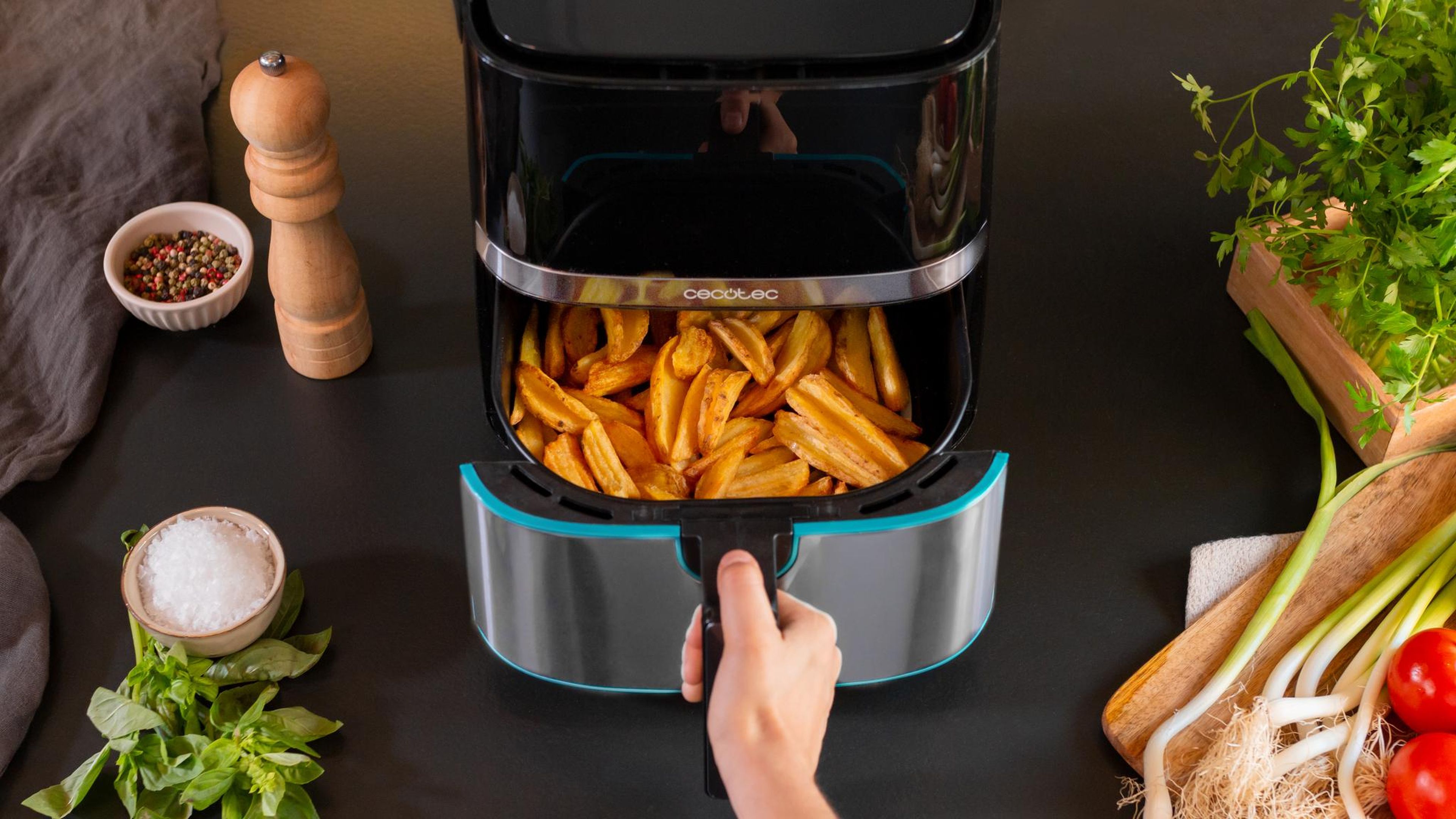 Cecotec Cecofry Full Inox 5500