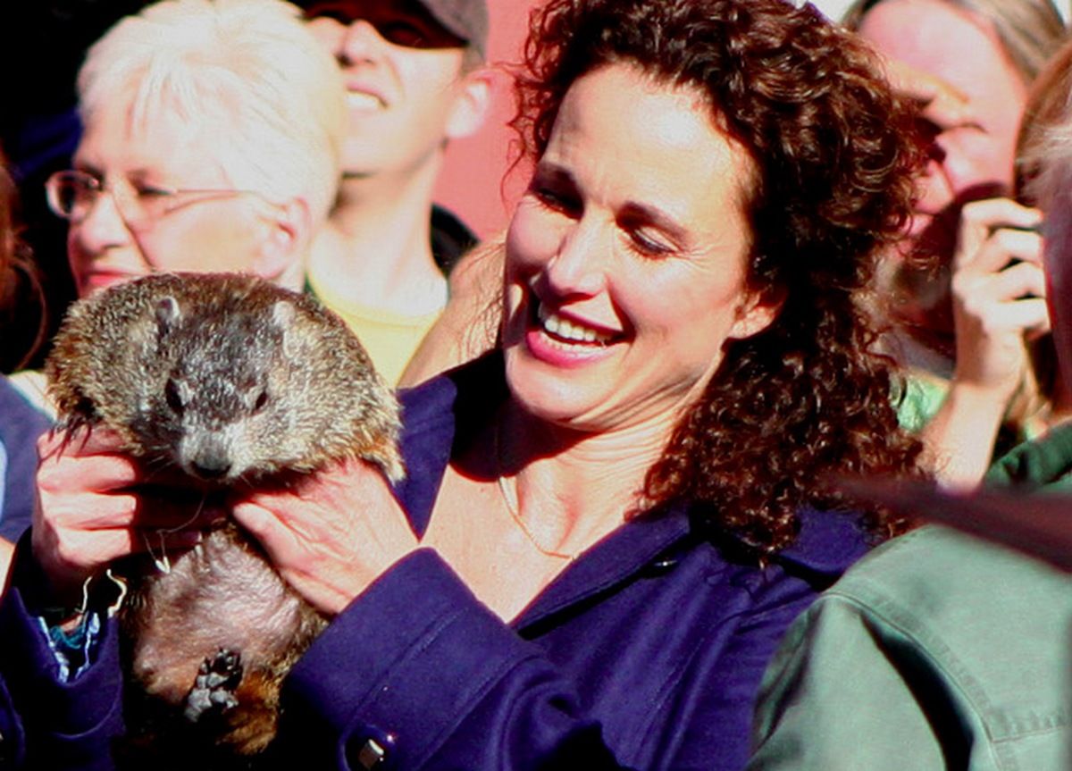Hoy es el Día de la Marmota, y puedes ver (una y otra vez) la película en Filmin