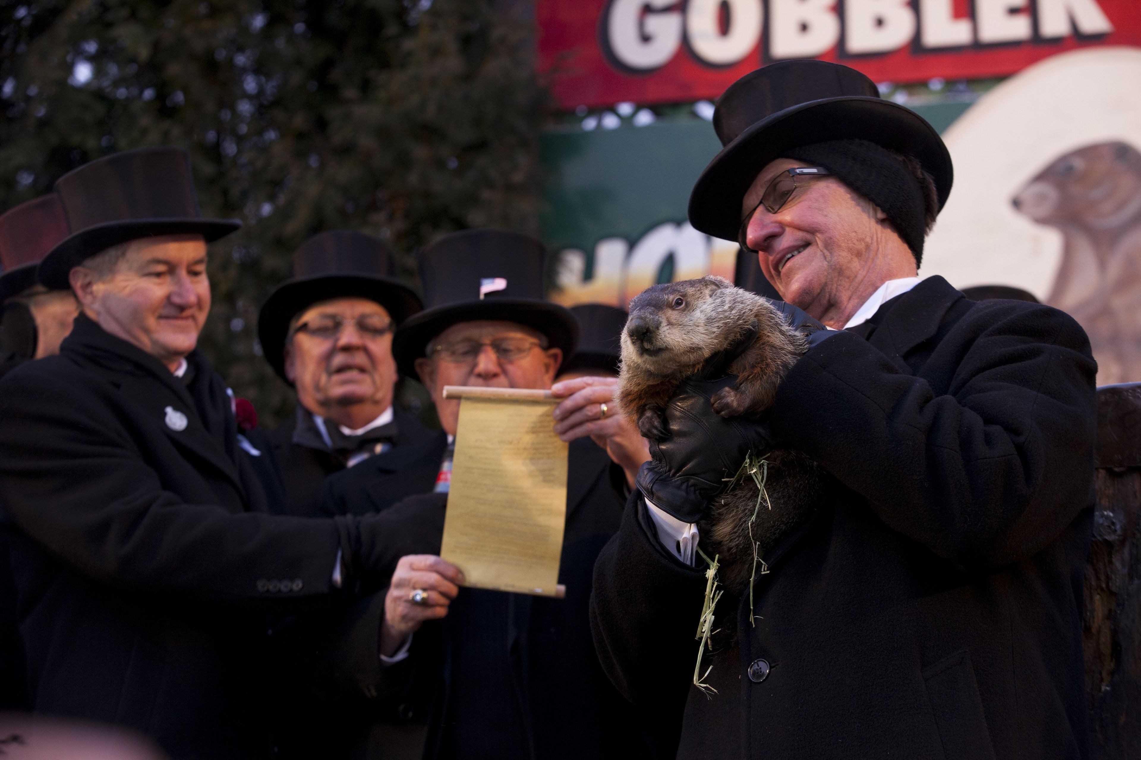 Dia de la Marmota