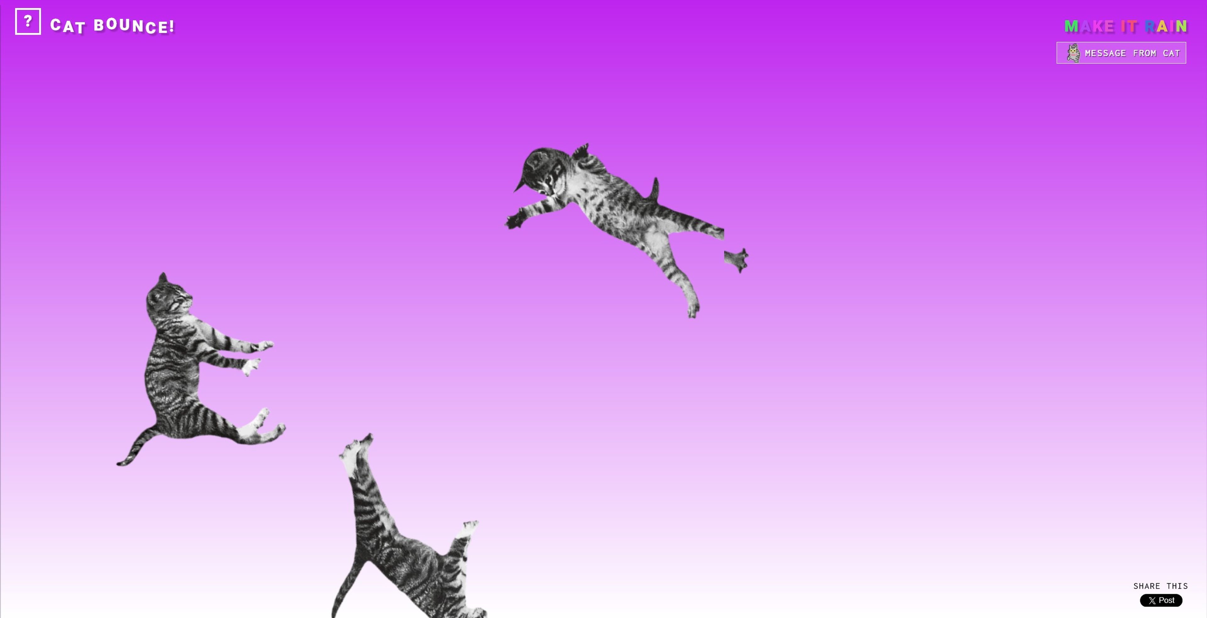 Cat Bounce