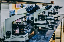 Laboratorio y ciencia
