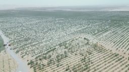 La Gran Muralla Verde: China rodea su mayor desierto con 3.000 Km de árboles, para evitar que se extienda