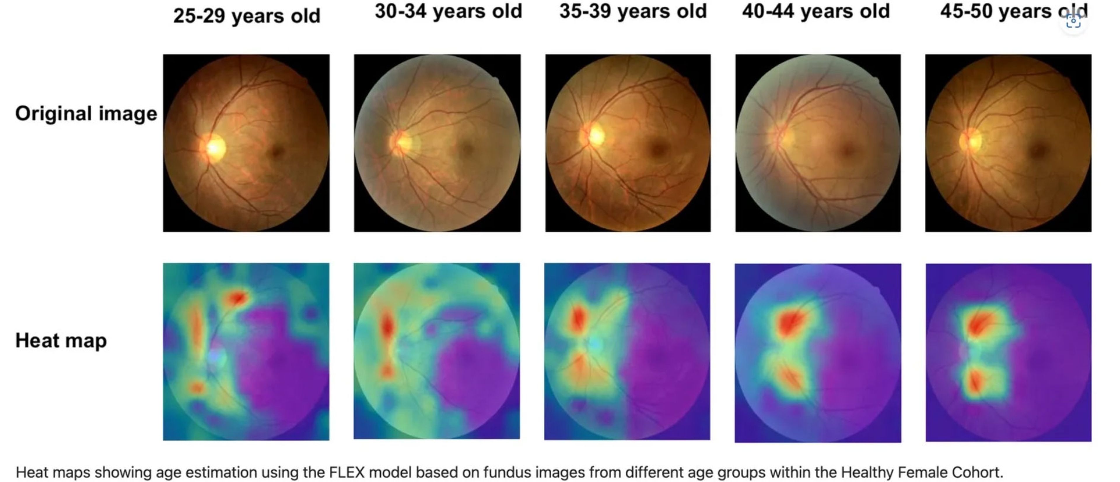 Una nueva IA puede estimar tu edad con solo mirar tus ojos
