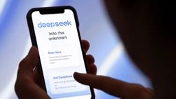 DeepSeek