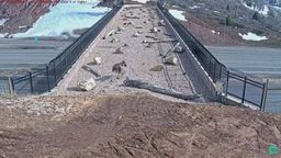 Ponen una cámara en un puente para animales sobre una autopista, y lo cruzan docenas de especies