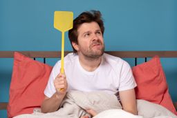 7 trucos para expulsar a las moscas y mosquitos de casa sin usar insecticida ni dispositivos